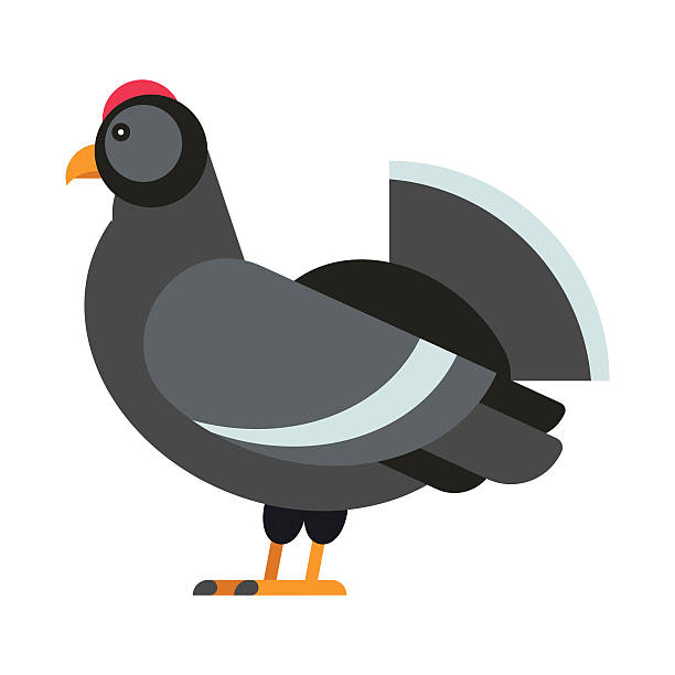 ilustrações de stock, clip art, desenhos animados e ícones de wild pheasant vector. - grouse flying