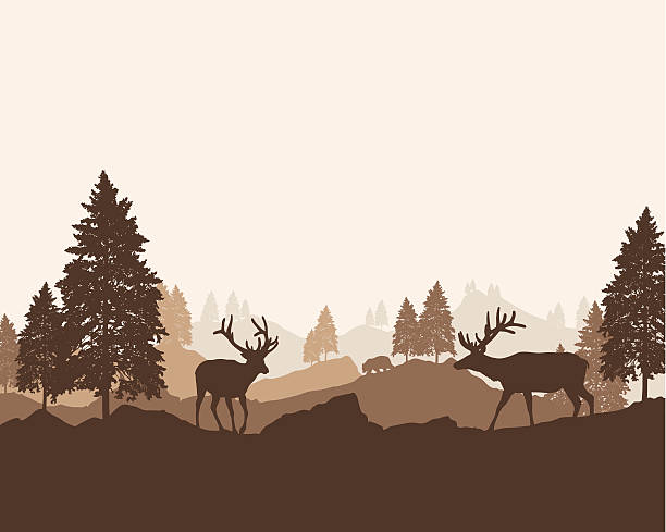 Wilderness Landscape Wilderness landscape background with copy space. wildlife stock illustrations