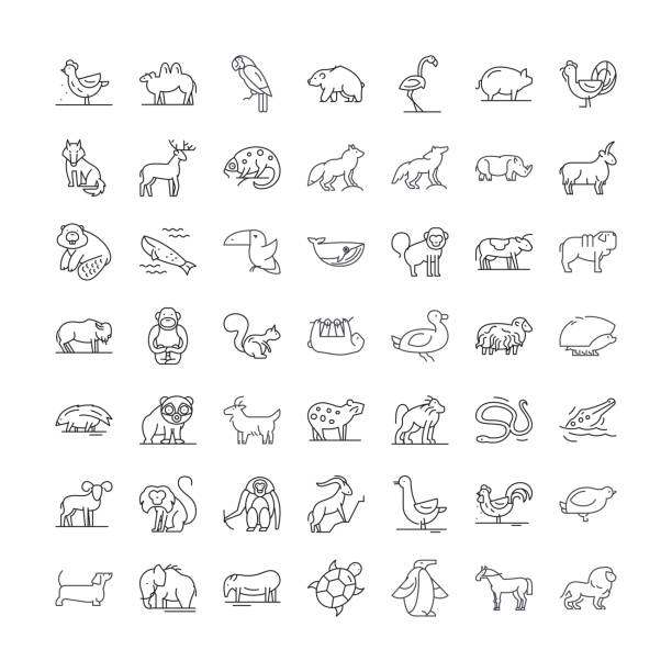 дикие животные линейные значки, знаки, символы векторной линии иллюстрации набор - животные в дикой природе stock illustrations