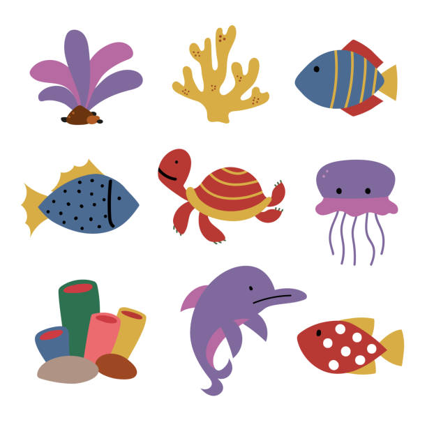 wildlife vector collection design wildlife vector collection design stylized underwater nature set of icons stock illustrations