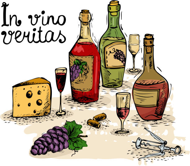 In vino veritas, wine still life isolated vector illustration