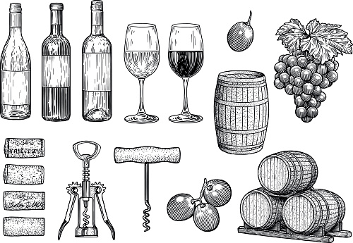 Wine stuff illustration, drawing, engraving, ink, line art, vector
