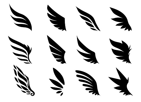 Wing Collection Vector