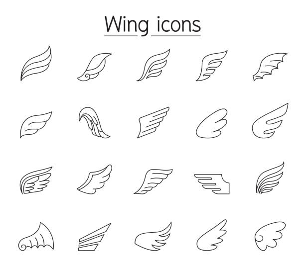 얇은 선 스타일로 설정된 날개 아이콘 - 동물 날개 stock illustrations