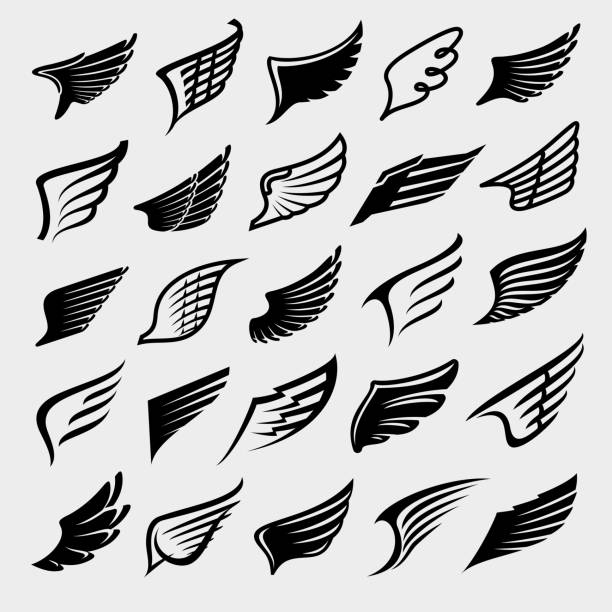 날개 세트. 컬렉션 아이콘 날개입니다. 벡터 - 동물 날개 stock illustrations
