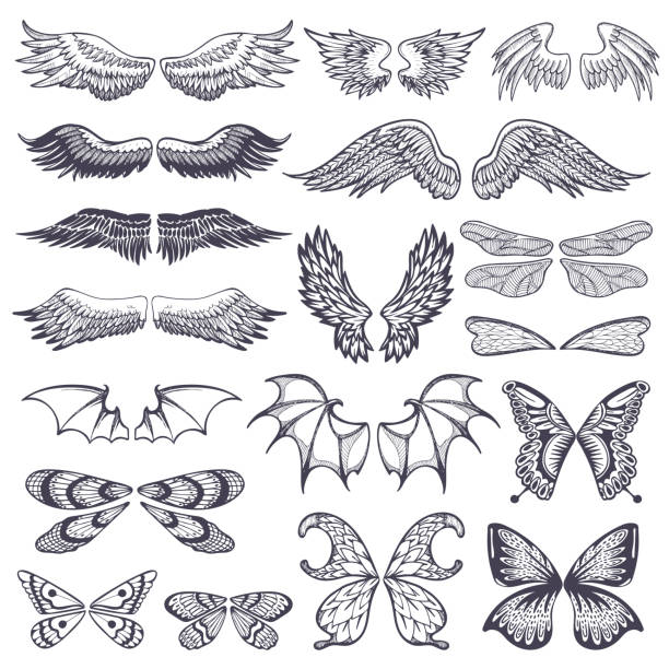 翼翼飛翅天使帶翅的鳥和蝴蝶與翼展例證黑翼敲打紋身剪影設置隔絕在白色背景 - 球拍 幅插畫檔、美工圖案、卡通及圖標