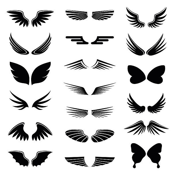 Top 60 Animal Wing Clip Art, Vector Graphics and ...
