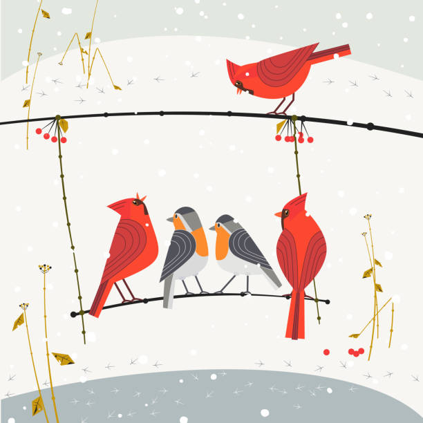 winter-vögel auf baum-schaukel - garden party suit stock-grafiken, -clipart, -cartoons und -symbole