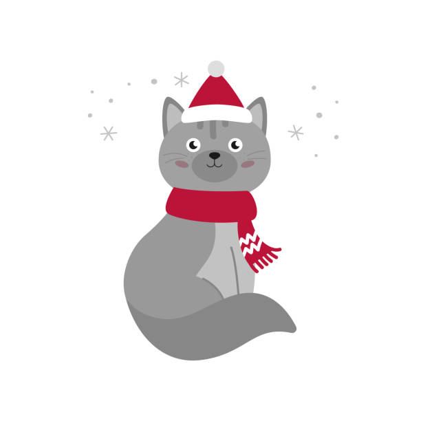 stockillustraties, clipart, cartoons en iconen met winter kat. grijze kat met sjaal en muts. sneeuw. geïsoleerd op wit. vector - christmas cat