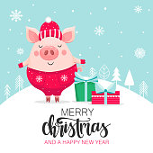 Merry Christmas and Happy New Year card with a cartoon pig on a blue background with gift boxes. Chinese symbol of the 2019 year. Vector illustration.