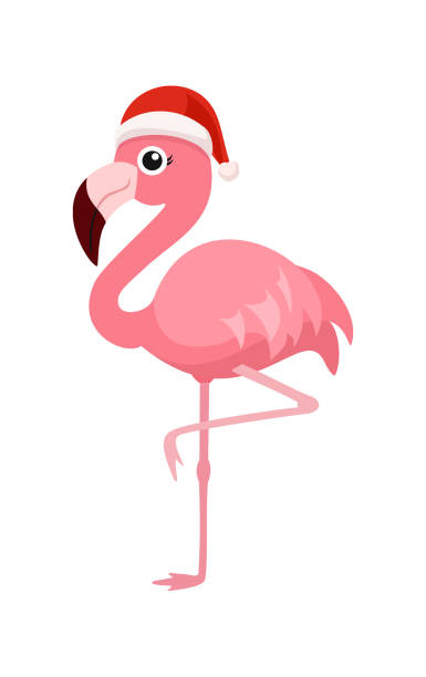 Best Christmas Flamingo Illustrations, Royalty-Free Vector Graphics