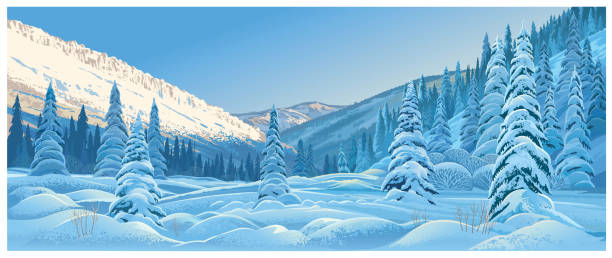 Winter landscape. Winter mountain landscape with snowdrifts and snowy fir trees. arctic stock illustrations