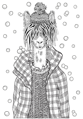 Winter llama in a checkered jacket. Adult Coloring book page. Hand-drawn vector illustration. Coloring book page for adult and children.
