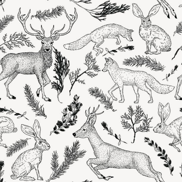 Winter seamless pattern with deer, fox, hare and evergreen plants in vintage style. Hand drawn decoration for paper, textile, wrapping decoration, scrap-booking, t-shirt, cards. Winter seamless pattern with deer, fox, hare and evergreen plants in vintage style. Hand drawn decoration for paper, textile, wrapping decoration, scrap-booking, t-shirt, cards. forest patterns stock illustrations