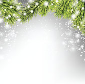 Winter xmas background with fir branches. Vector Illustration.