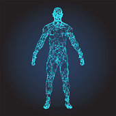istock 3D wire frame human body Polygonal Low Poly 1138208247