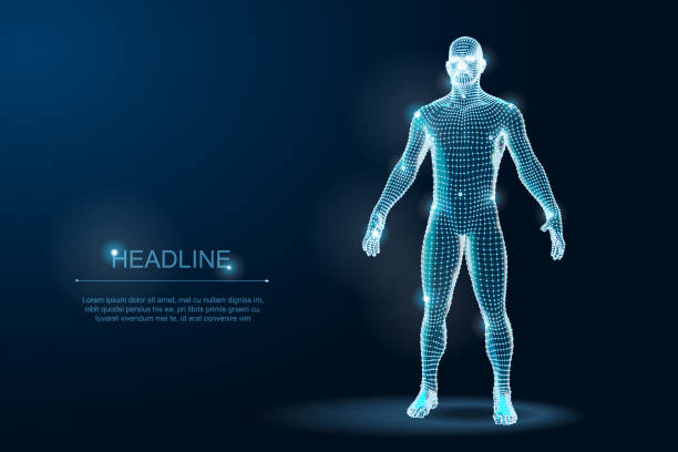 Wireframe 3D Man Body Geometry with dots and stars on dark background. Vector Illustration Wireframe 3D Man Body Geometry with dots and stars the human body stock illustrations