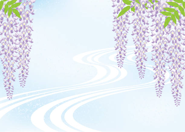 https www istockphoto com jp e3 82 a4 e3 83 a9 e3 82 b9 e3 83 88 e8 97 a4 e3 81 ae e8 8a b1