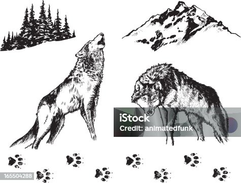 istock Wolf - Graphic Elements 165504288