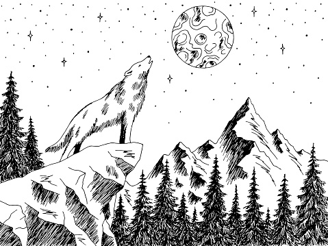 Wolf howling at the moon mountains forest graphic black white landscape sketch illustration vector