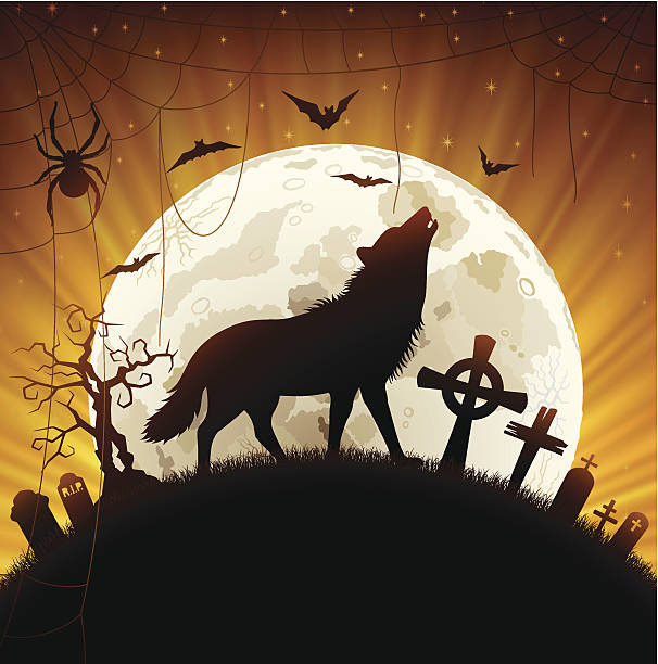 волк, воющие на луну - werewolf howling moon pics stock illustrations.