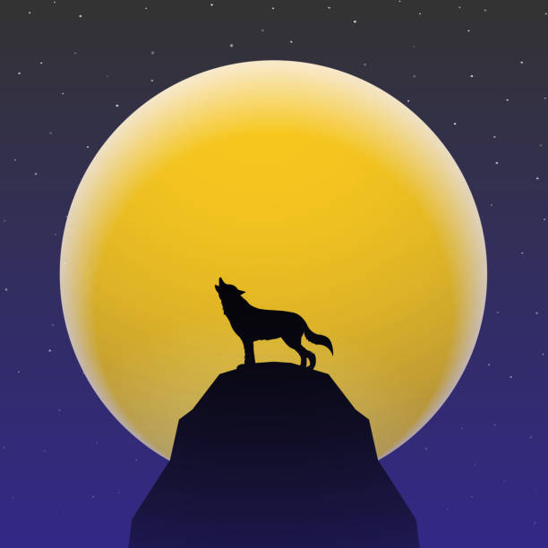 ilustrações de stock, clip art, desenhos animados e ícones de wolf howling in front of super moon - supermoon