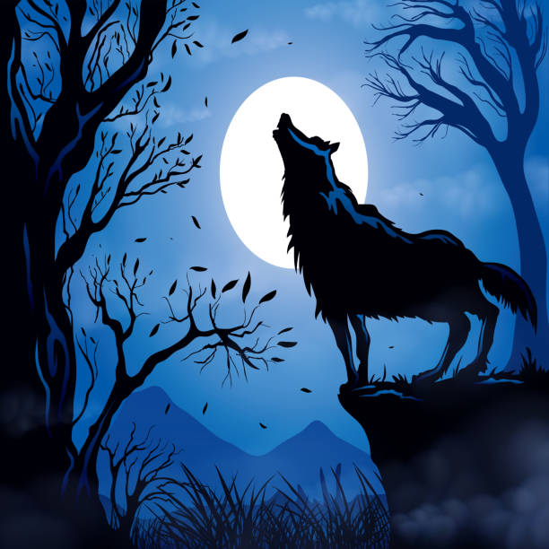 Wolf howling Wolf Howling, Full moon full moon illustrations stock illustrations
