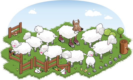 Wolf in sheeps clothing in flock of sheep (vector)