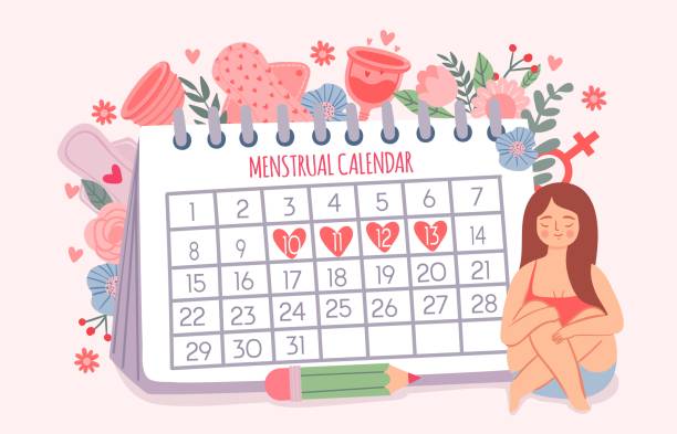 stockillustraties, clipart, cartoons en iconen met vrouw en periodekalender. vrouwelijke controledata van menstruatiecyclus. kalenderschema voor kritieke dagen en vectorconcept van hygiëneproducten - menstruatie