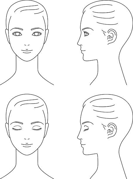 woman face. Front and profile. woman face. Front and profile. human head stock illustrations