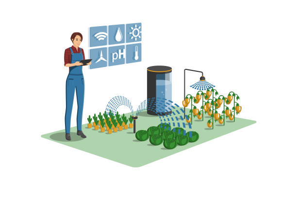 Woman farmer with digital tablet in greenhouse Woman farmer with digital tablet in greenhouse. Smart farm with wireless control. Vector illustration. robot clipart stock illustrations