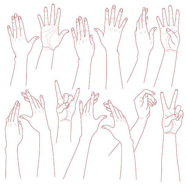 Woman Hands Set Outlines set  of woman  hands  on white background. human arm stock illustrations