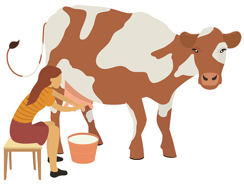 woman-milks-a-cow-vector-illustration-vector-id1225984122?b=1&k=6&m=1225984122&s=170667a&w=0&h=cCNScGez2D2dSnvLS6fkZ5SKY4uKiCpFgWlb2HhzQ2M=