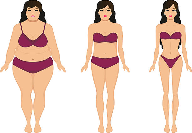 Woman slimming, fat slim girl, female weight loss Vector illustration cartoon woman slimming. Fat and slim girl. Female body before and after weight loss, diet and fitness. Comparison athletic girl and plump woman. Growing thin lady. Flat style. voluptuous women images stock illustrations