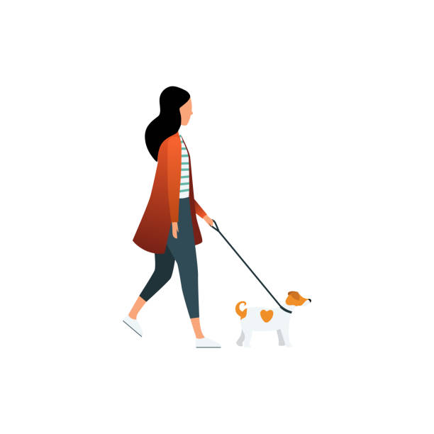 bildbanksillustrationer, clip art samt tecknat material och ikoner med kvinna walkin en hund - woman walking