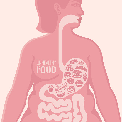 Woman with unhealthy food. vector