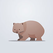 wombat icon cute cartoon wild animal symbol with shadow wildlife species fauna concept flat vector illustration