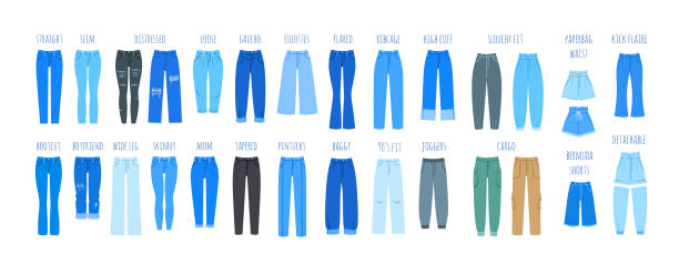 Women jeans denim pants different types big set vector art illustration