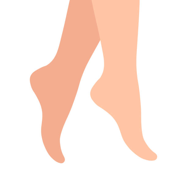 women's feet on a white background, vector illustration. foot. women's feet on a white background, ankle and foot barefoot. vector illustration. bare feet stock illustrations