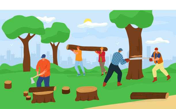Wood processing at forest, vector illustration. Man worker character cutting out tree, carry wood material for industry work. Male person group vector art illustration
