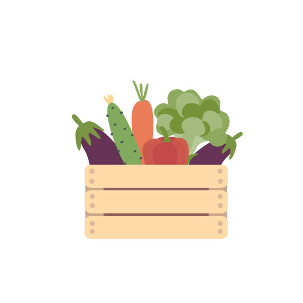 Wooden box with vegetables of simple flat shape. Broccoli, eggplant, carrot, pepper and cucumber. Vector illustration on a white background. Wooden box with vegetables of simple flat shape. Broccoli, eggplant, carrot, pepper and cucumber. Vector illustration on a white background. crate stock illustrations