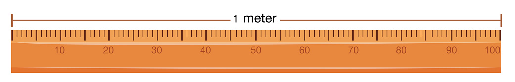 Wooden Ruler With Measurement In Meter Stock Illustration Download