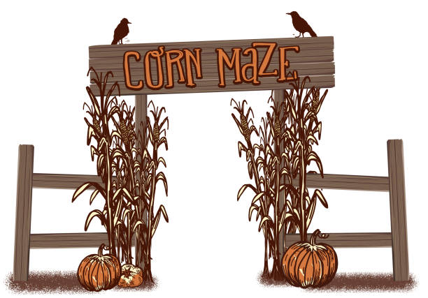 178 Corn Maze Illustrations & Clip Art - iStock