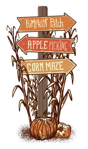 bildbanksillustrationer, clip art samt tecknat material och ikoner med trä skylt post med pilar som pekar på pumpkin patch, apple picking och corn maze - pumpor skördefest