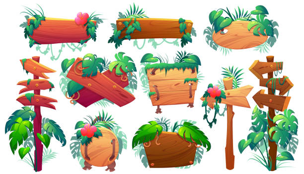stockillustraties, clipart, cartoons en iconen met wooden signboards, planks and pointers in jungle - plankje plant touw