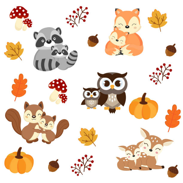 Woodland Animals background. Raccoon, fox, squirrel, owl and deer cartoon.  young animal stock illustrations
