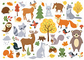 Woodland animals set, cute fox, bear, wolf, rabbit and birds. Perfect for scrapbooking, cards, poster, tag, sticker kit. Hand drawn vector illustration.