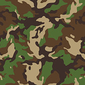istock woodland camouflage seamless 1345590346