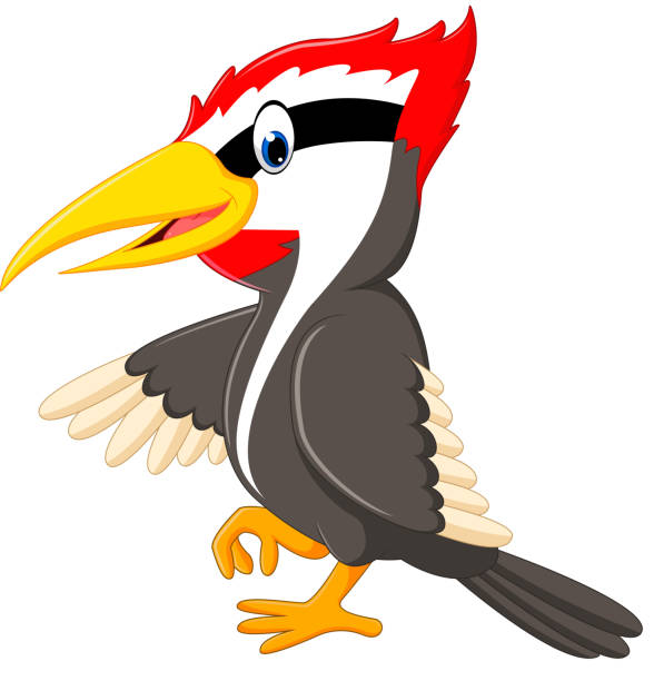 Royalty Free Woodpecker Clip Art Vector Images Royalty Free Woodpecker Clip Art Vector Images