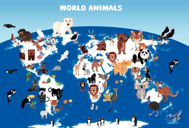 ilustrações, clipart, desenhos animados e ícones de mapa mundial de animais - gado brasil